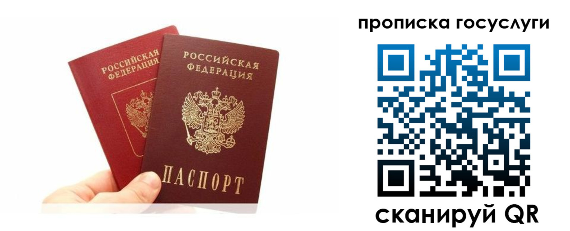 временная регистрация для всех в Брянской области